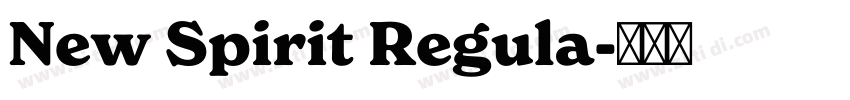 New Spirit Regula字体转换